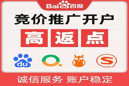 某某sem推广公司在某行业的应用与效果分析